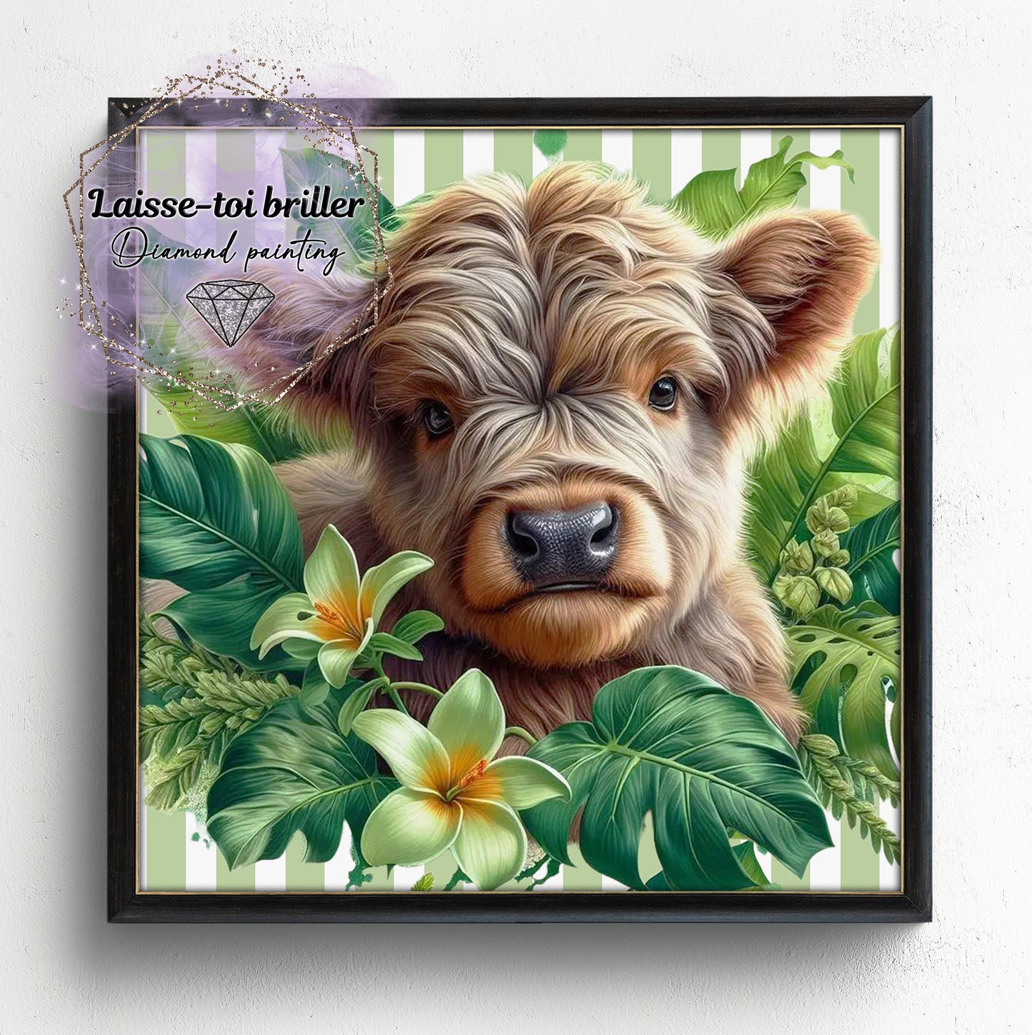 Vache Highland (A-HIGHLAND-002)