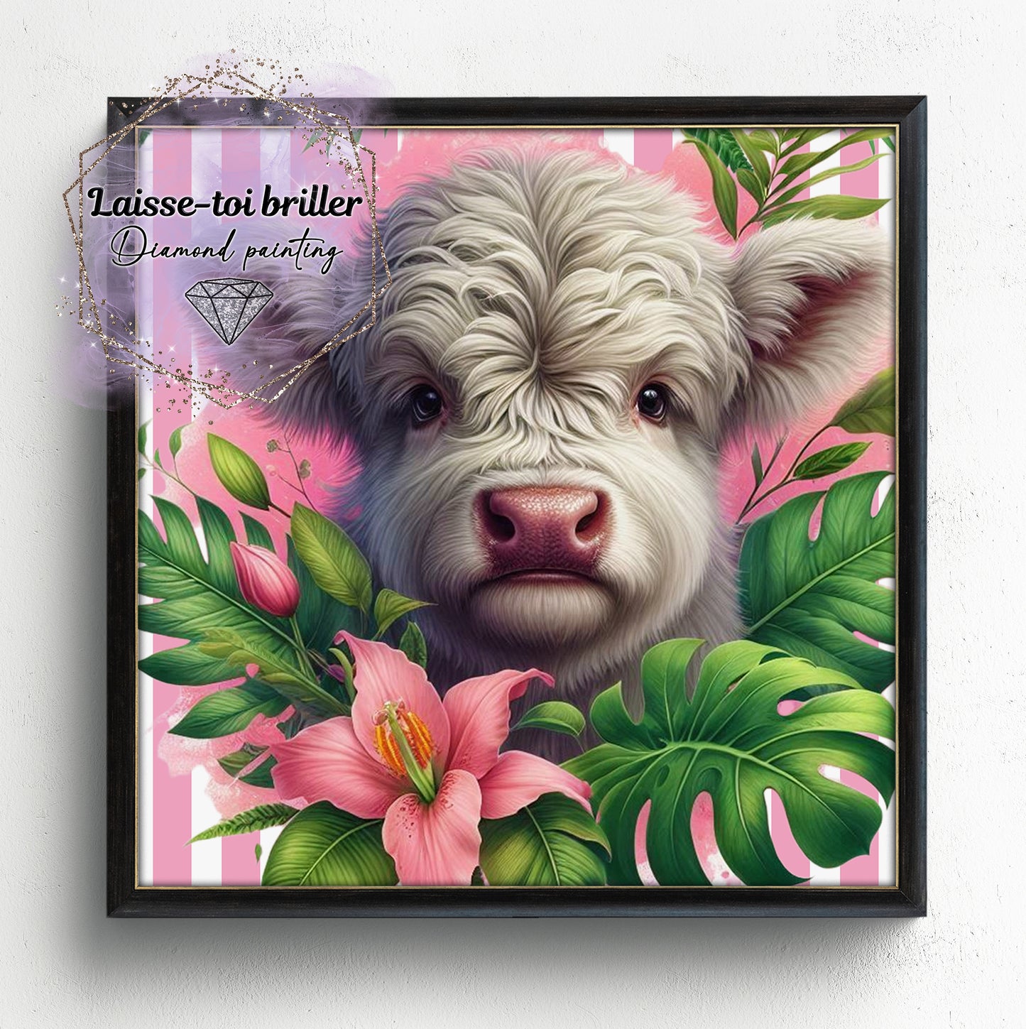 Vache Highland (A-HIGHLAND-003)