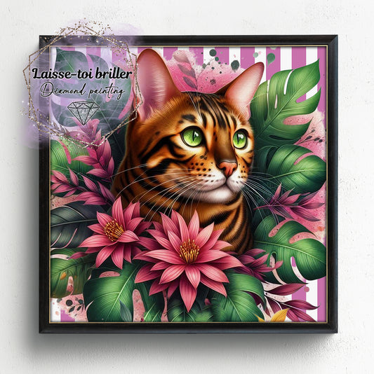 Chat (A-DOMESTIQUE-16)