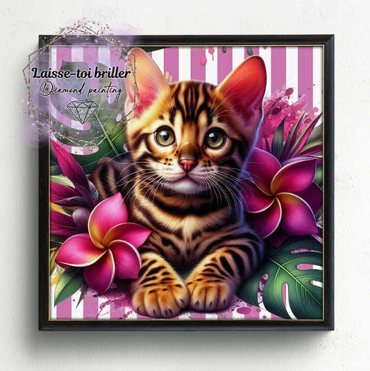 Chat (A-DOMESTIQUE-19)