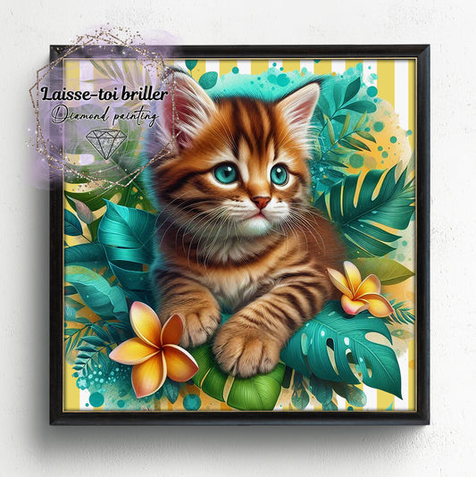 Chat (A-DOMESTIQUE-21)