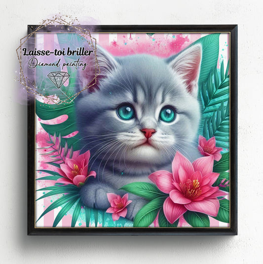 Chat (A-DOMESTIQUE-22)