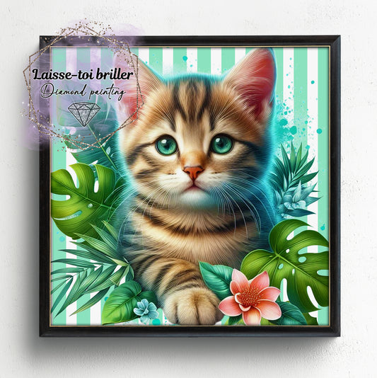 Chat (A-DOMESTIQUE-24)