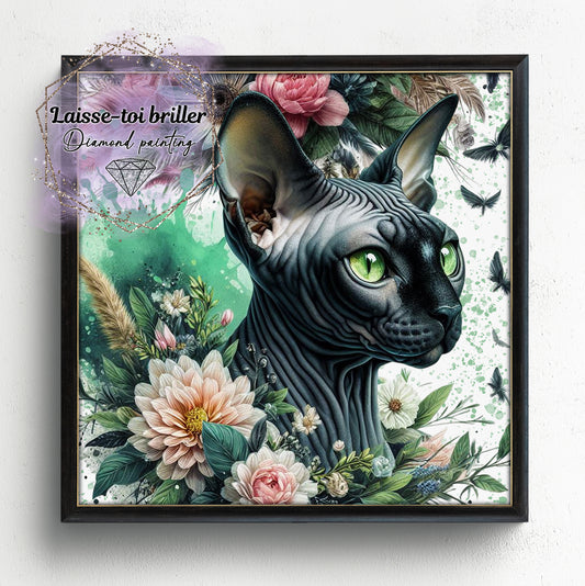 Chat (A-DOMESTIQUE-26)