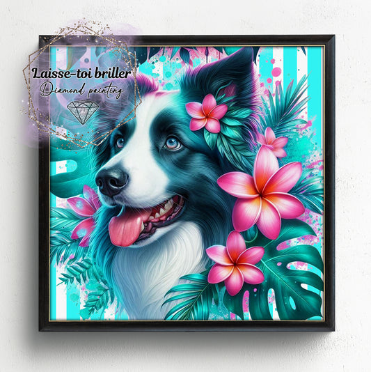 Chien (A-DOMESTIQUE-76)