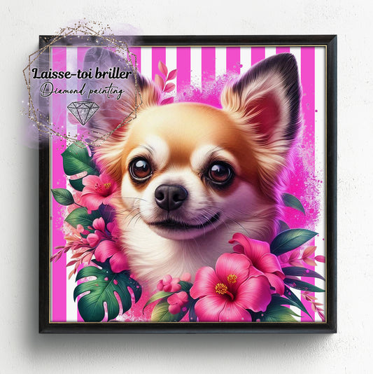 Chien (A-DOMESTIQUE-77)