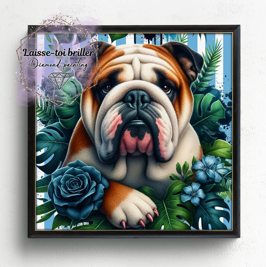 Chien (A-DOMESTIQUE-79)