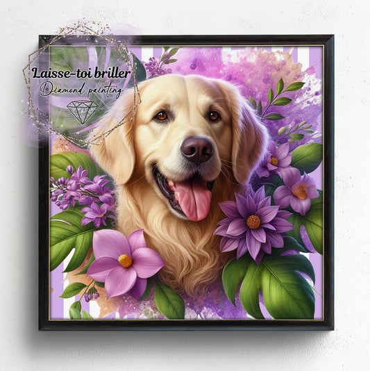 Chien (A-DOMESTIQUE-80)