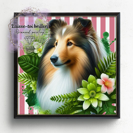 Chien (A-DOMESTIQUE-81)