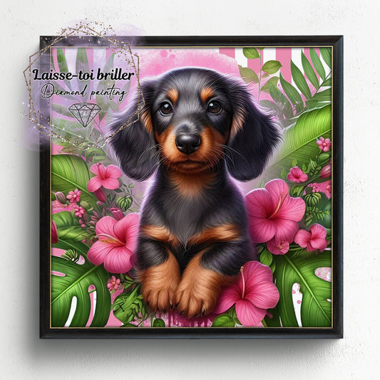 Chien (A-DOMESTIQUE-87)