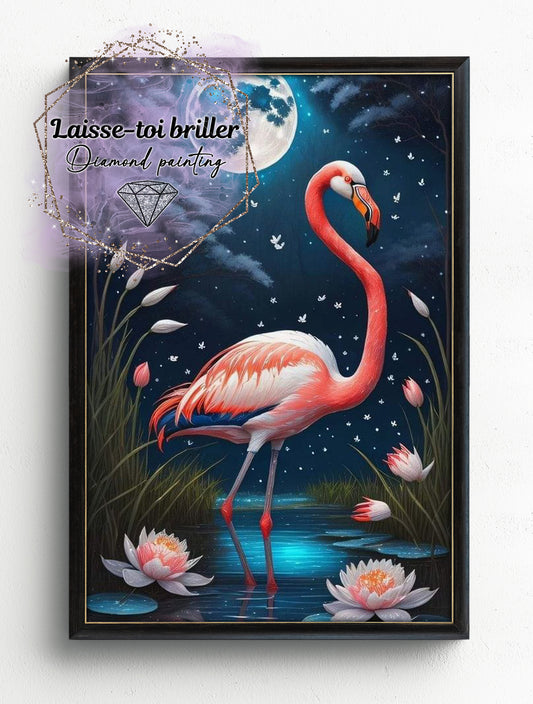 Flamand rose (A-OISEAUX-5)