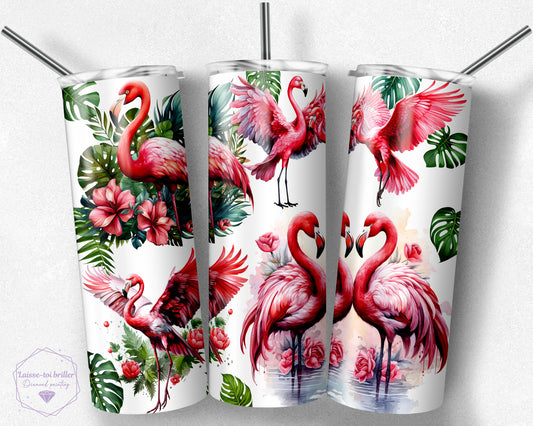 Flamand rose  (G-GOURDE-293)