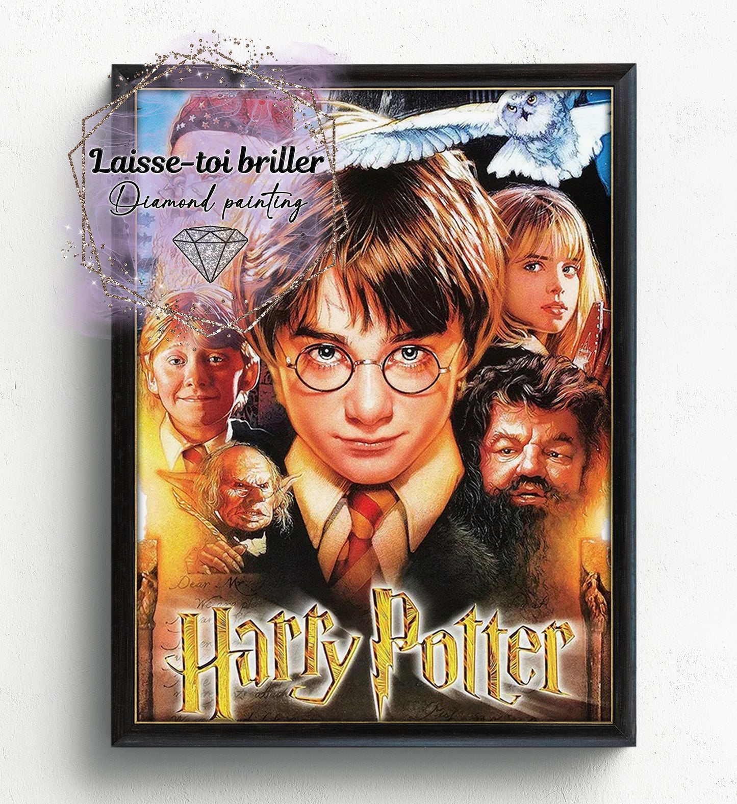 Harry Potter (F-FICTIF-0221)