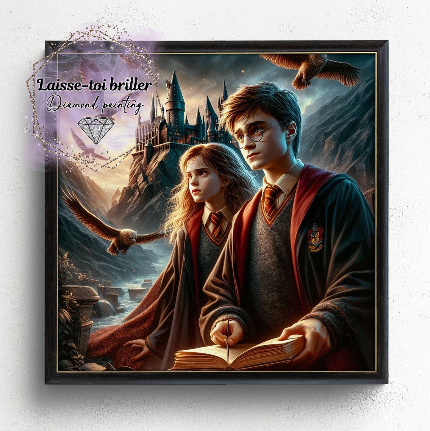 Harry Potter (F-FICTIF-0229)