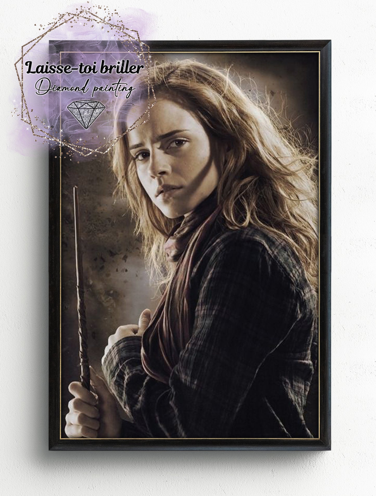 Harry Potter (F-FICTIF-0235)