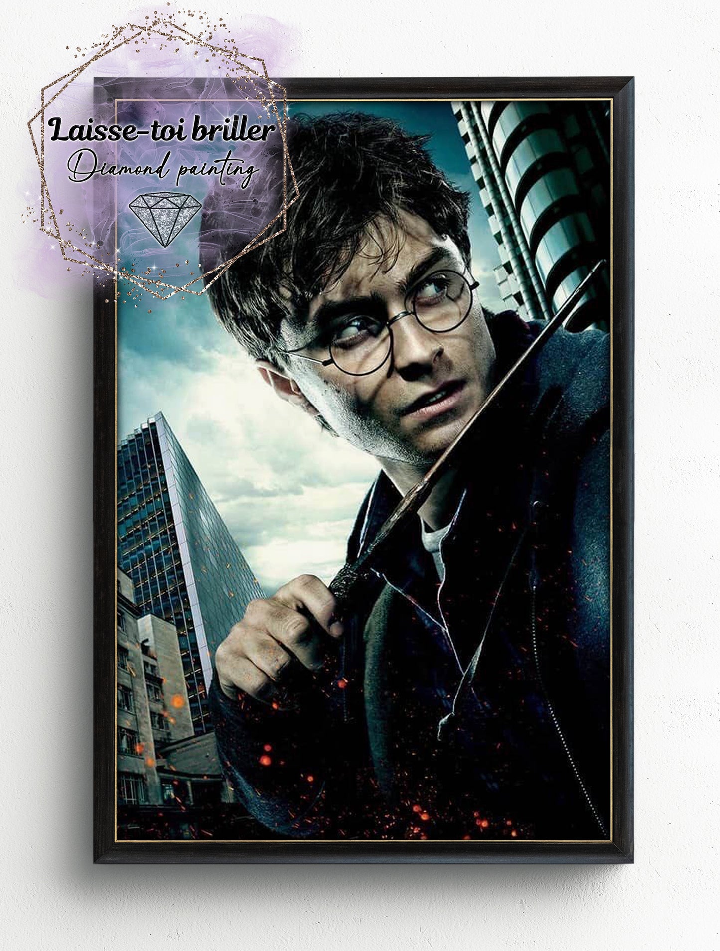 Harry Potter (F-FICTIF-0238)