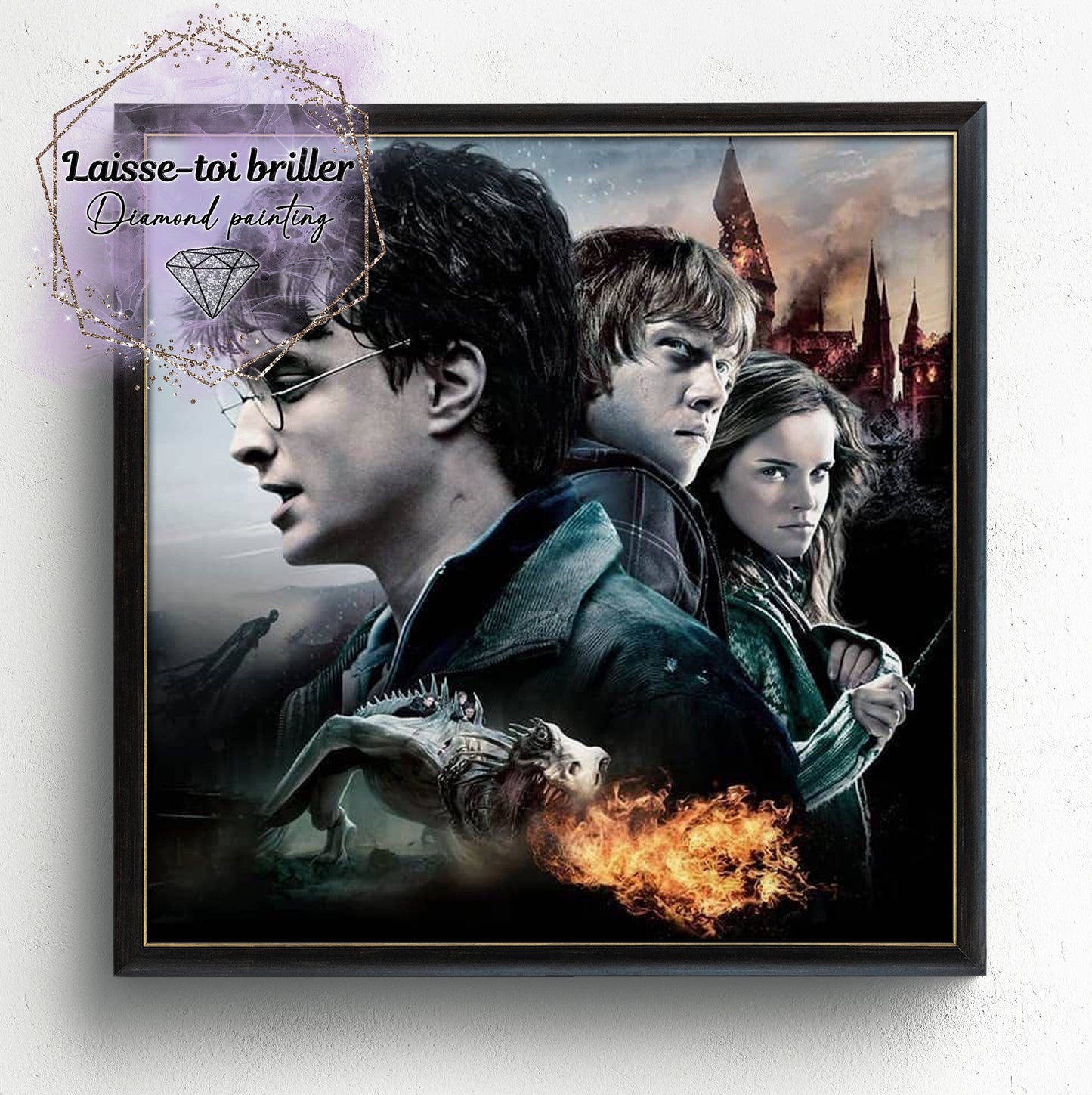 Harry Potter (F-FICTIF-0239)