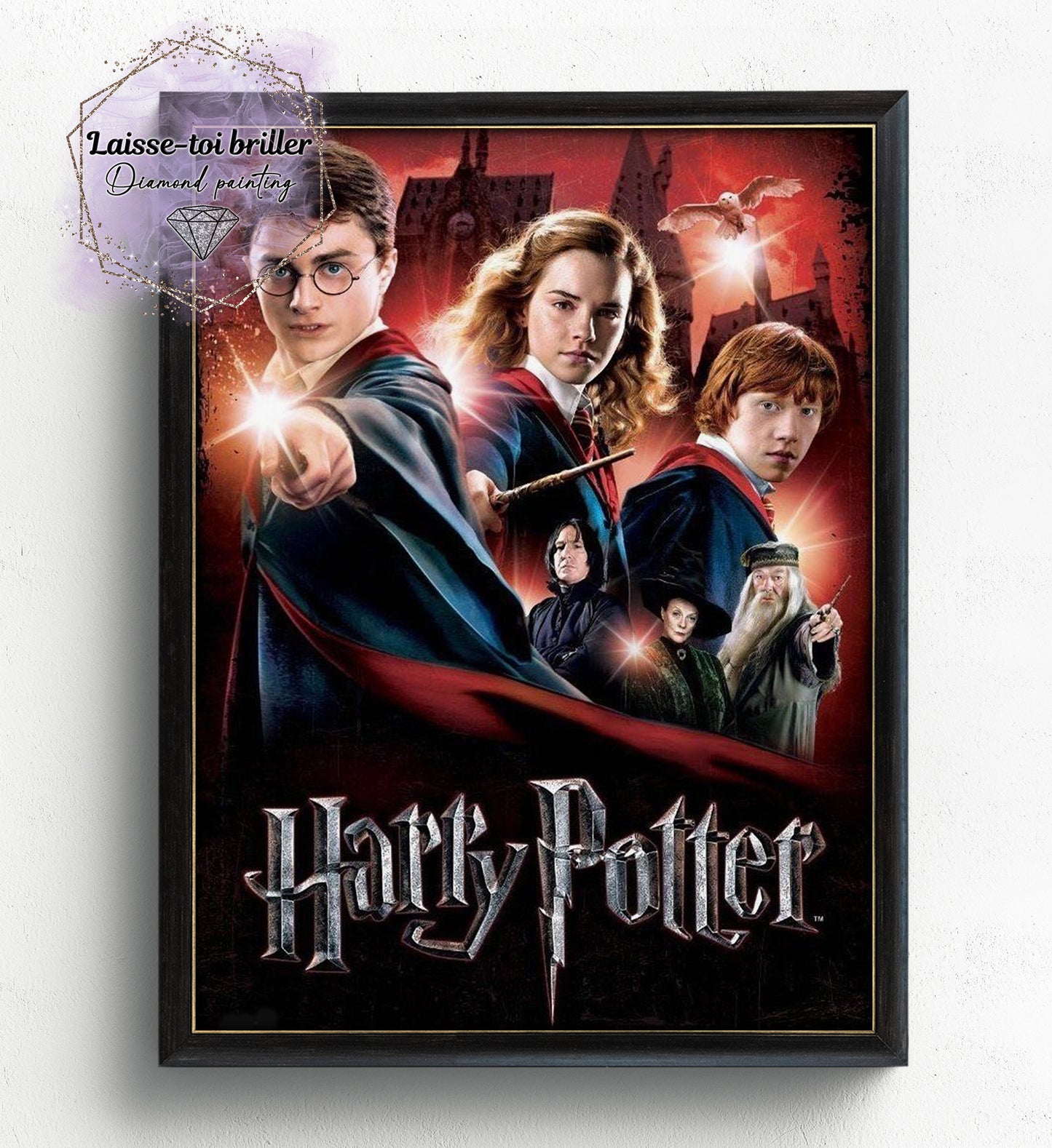 Harry Potter (F-FICTIF-0240)