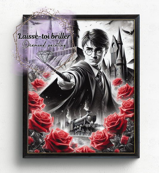 Harry Potter (F-FICTIF-136)