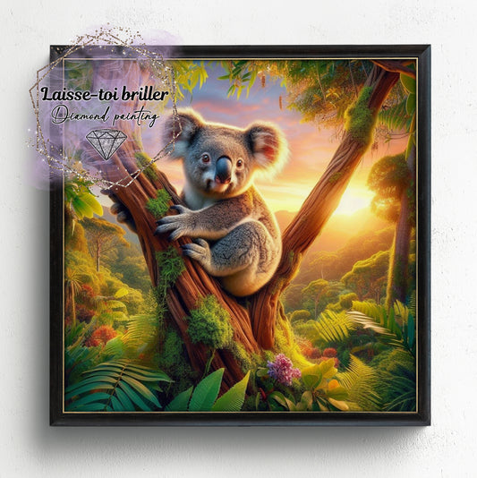 Koala (A-KOALA-001)