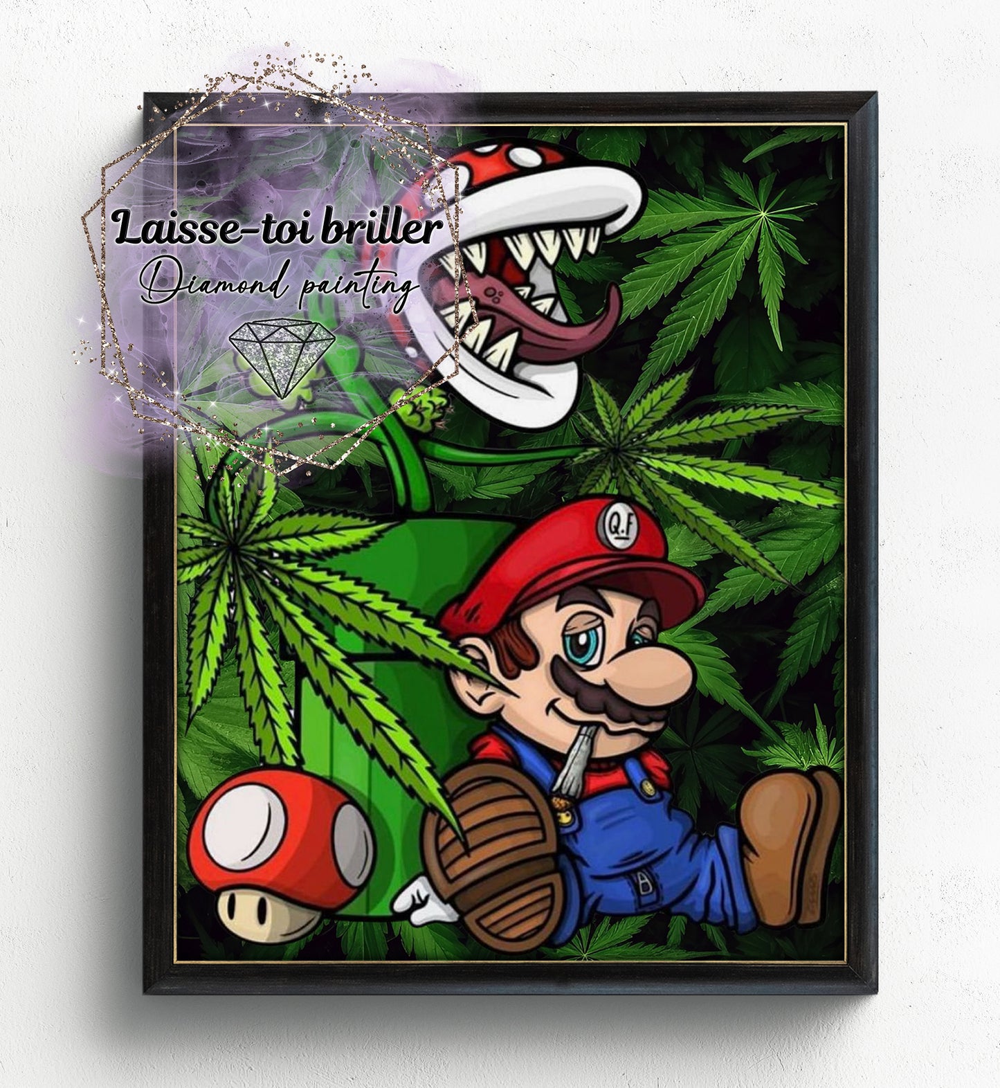 Mario Bros (F-FICTIF-006)