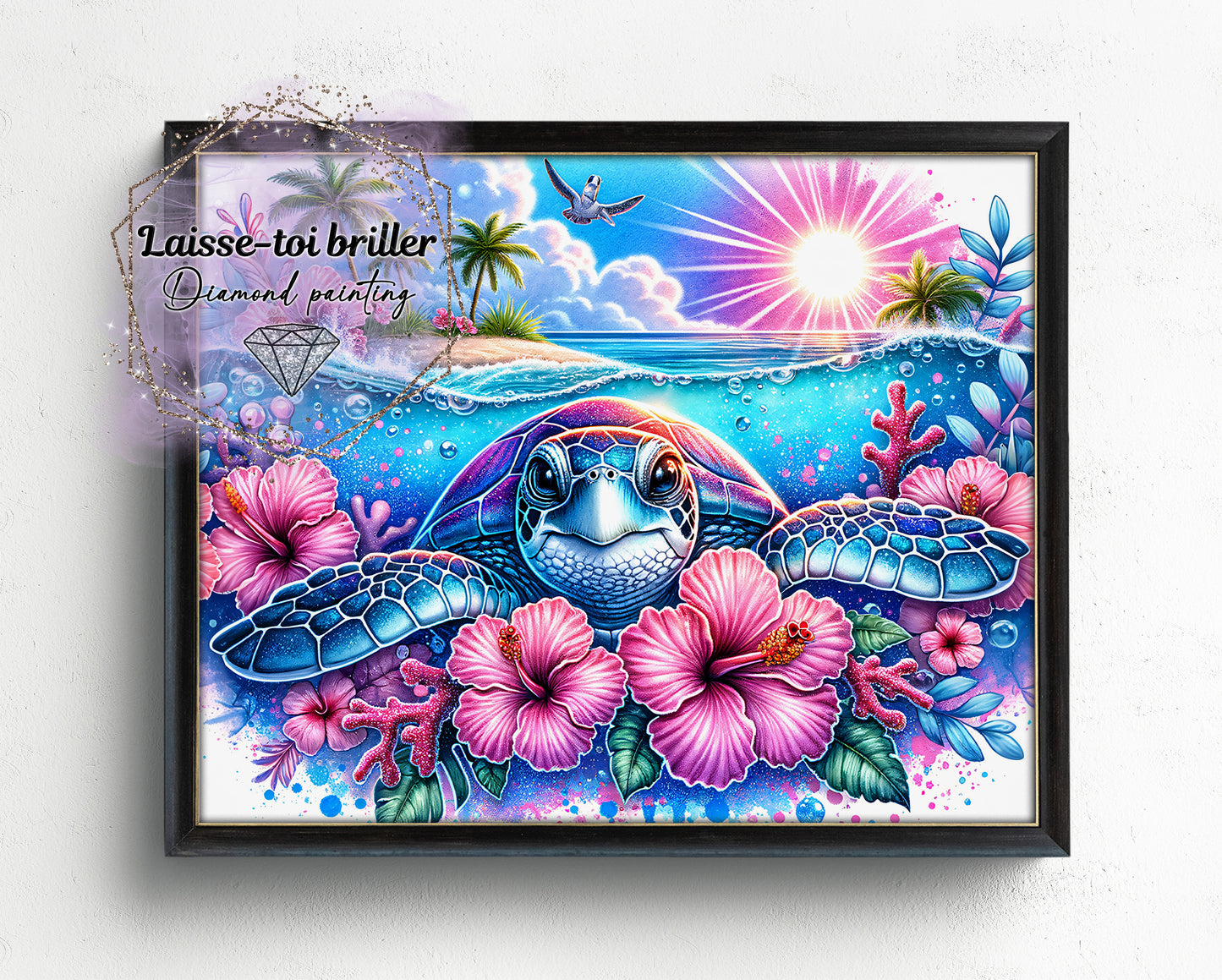 Tortue (A-TORTUE-002)