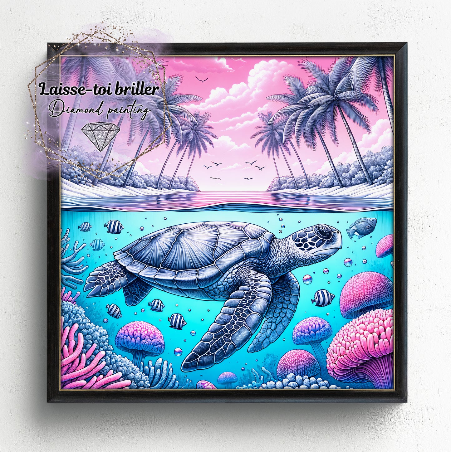 Tortue (A-TORTUE-003)