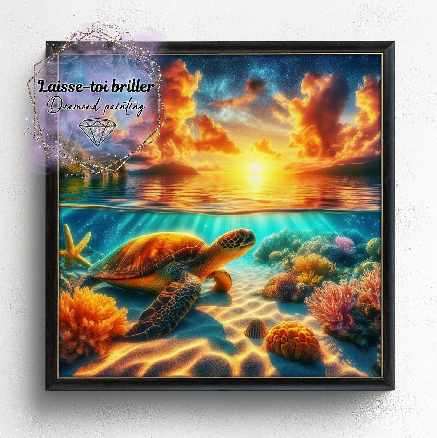 Tortue (A-TORTUE-009)