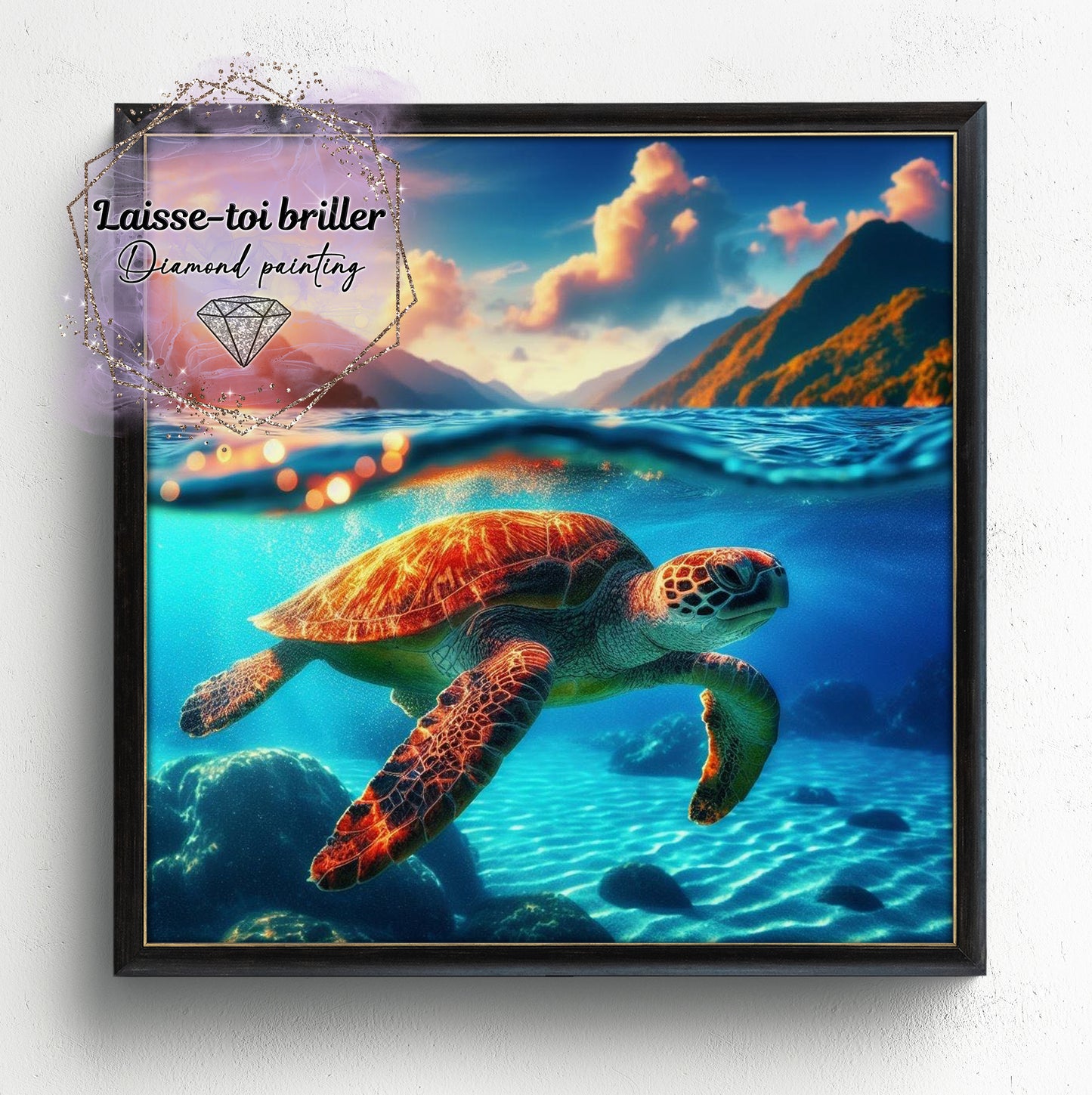 Tortue (A-TORTUE-010)