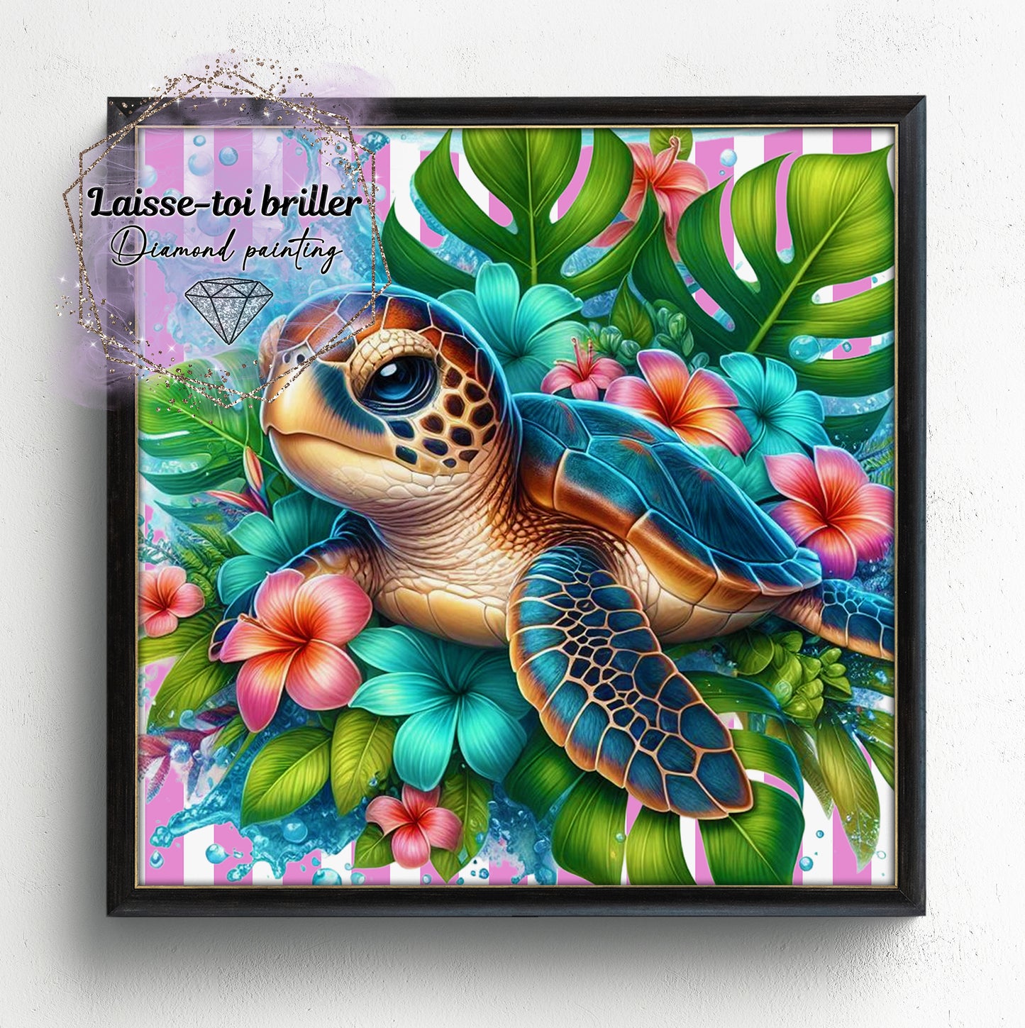 Tortue (A-TORTUE-011)